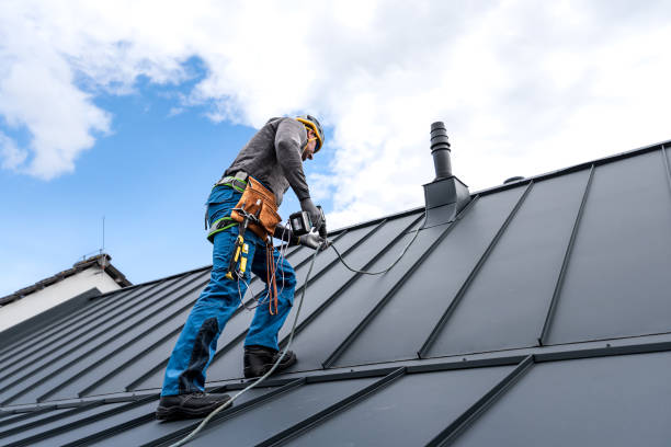 Best Chimney Flashing Repair  in Sugar Land, TX